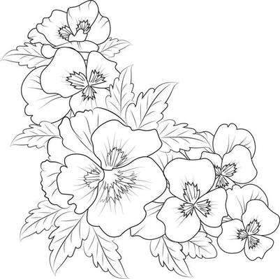  Flower Drawing